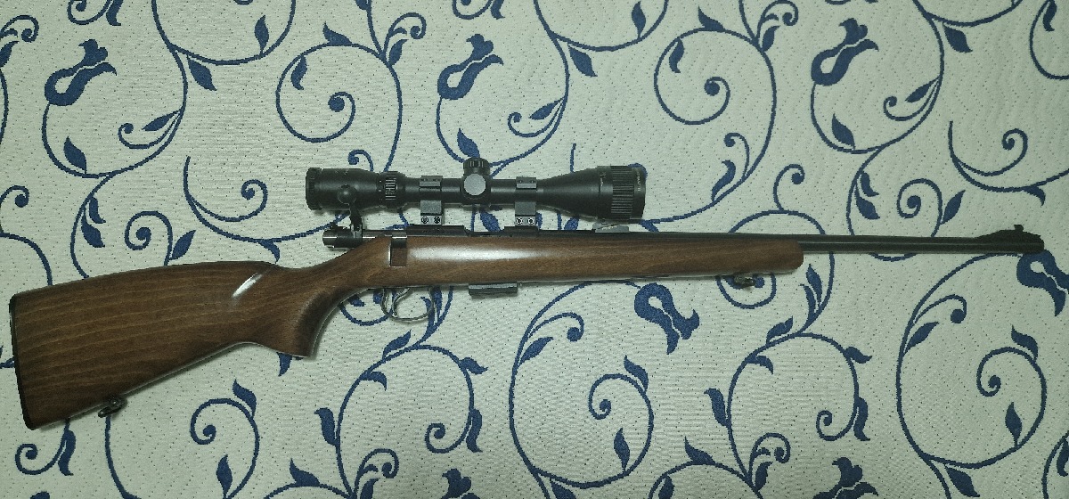 CZ 455 22 magnum