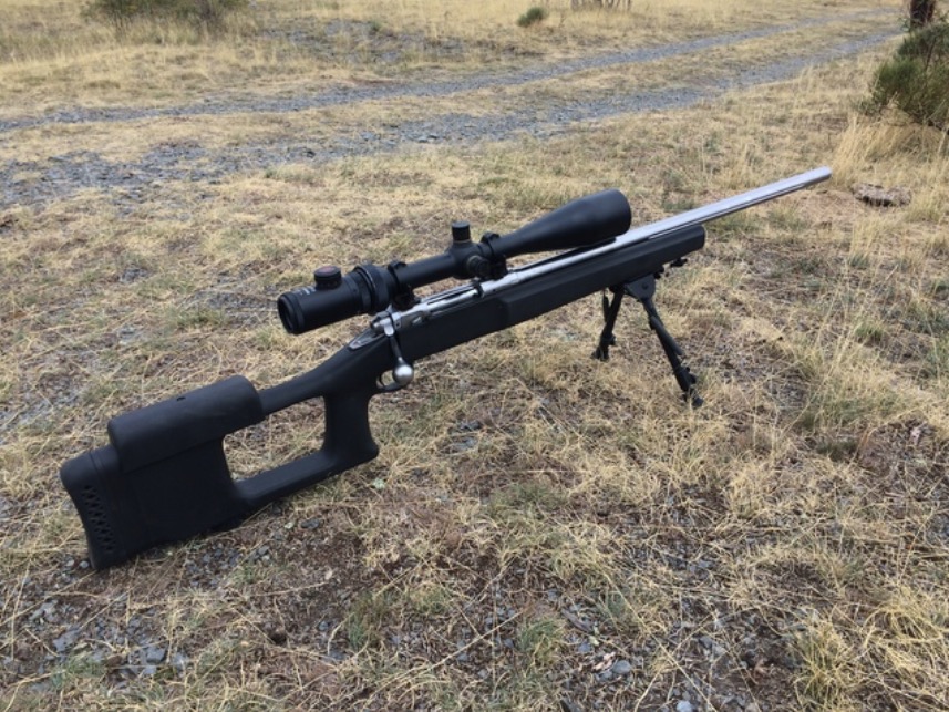 Savage Valmint 308 Win + Visor HAKKO